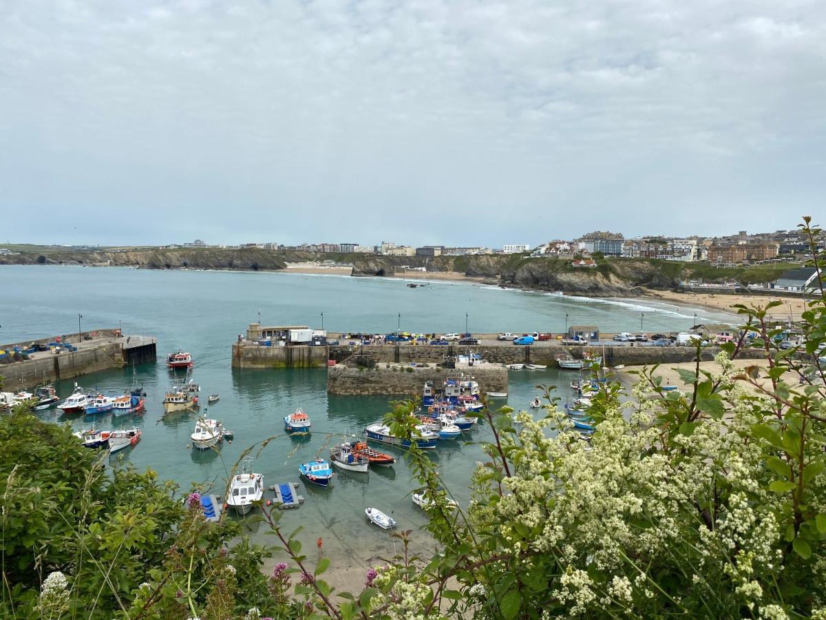 Ocean View Beach Rd New Quay Kültér fotó